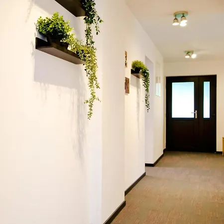 Feel Good * Ravna Gora