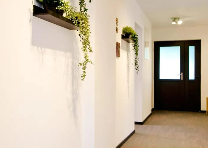 Feel Good * Ravna Gora